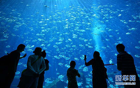 海南省の三亜アトランティスホテル内の水族館を見学する観光客たち（2月17日、撮影・郭程）